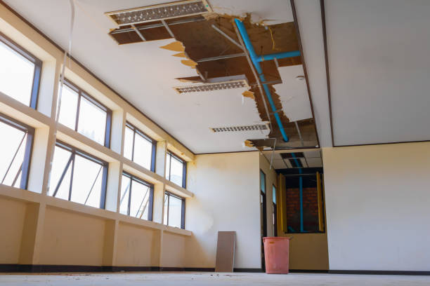 Best Water damage cleanup near me  in North Newton, KS