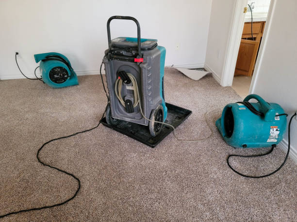 Best Water damage restoration near me  in North Newton, KS