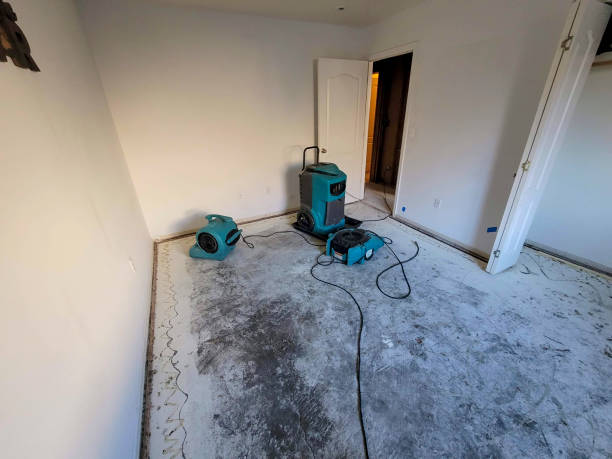 Best Flood restoration services  in North Newton, KS
