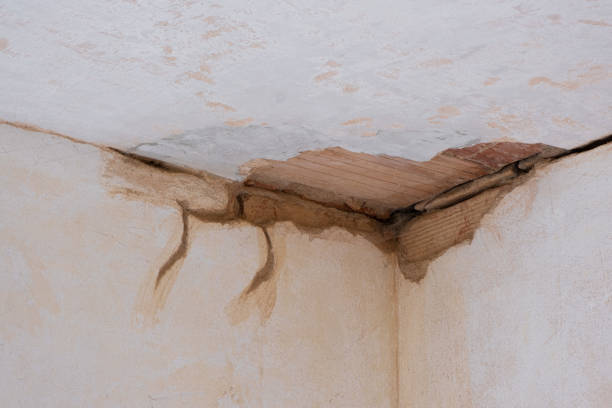 Best Sewage cleanup and water damage restoration  in North Newton, KS
