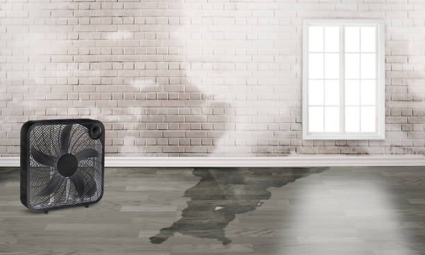 Carpet water damage restoration in North Newton, KS