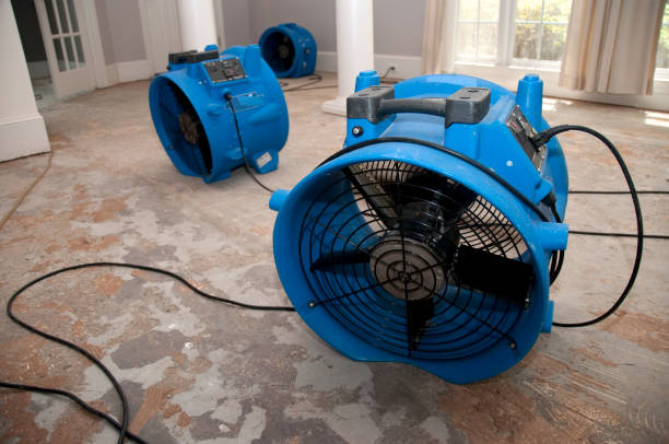 Best Carpet water damage restoration  in North Newton, KS