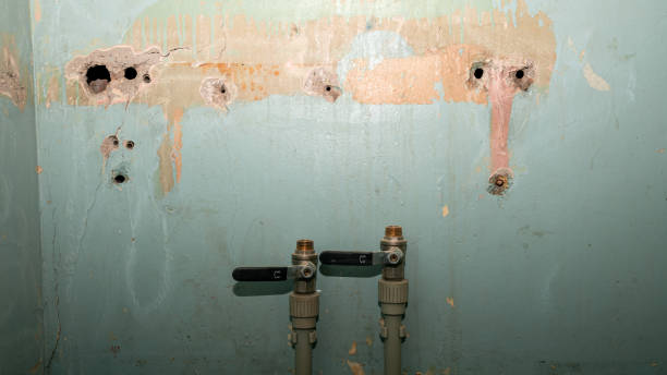 Best 24/7 water damage repair  in North Newton, KS