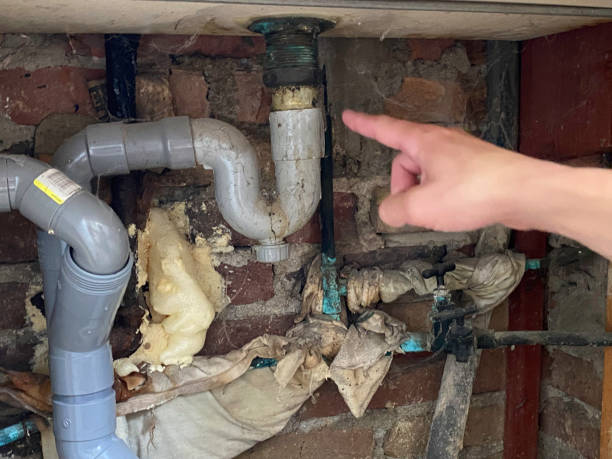 Best Water damage cleanup near me  in North Newton, KS