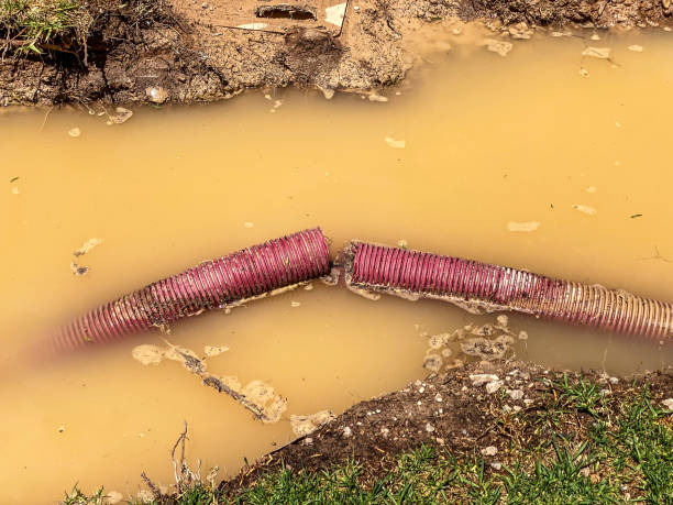 Best Water damage restoration company  in North Newton, KS