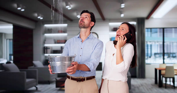 Trusted North Newton, KS Water damage restoration Experts